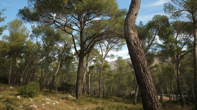 Extension de l'école Kedge a Luminy