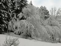 Dimanche départ Dimanche départ