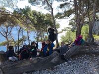 Ecureuils sur la branche Ecureuils sur la branche